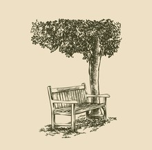 Vintage Picture Of A Bench Under A Tree