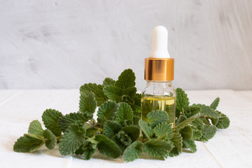 Organic essential oil of mint with green leaves. Natural oil of mint.