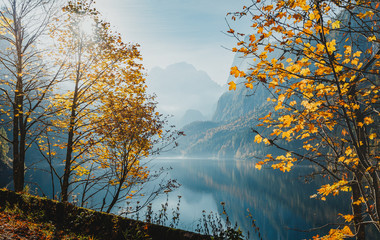  Sunny Autumn Landscape. Mountain Lake with Colorful Leafes under sunlight. Gosausee Lake. Vorderer. Instagram Filter. Vintage retro Style. Wonderful Amazing Scenery, Nature Background. Creative Image