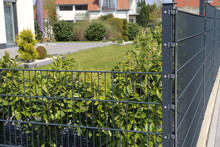Green Garden Fence As Property Fence Line