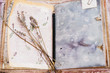 © Svetlana - Scrapbooking album and lavender. Handmade. Flower tea painted