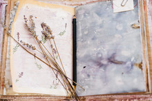 Scrapbooking Album And Lavender. Handmade. Flower Tea Painted