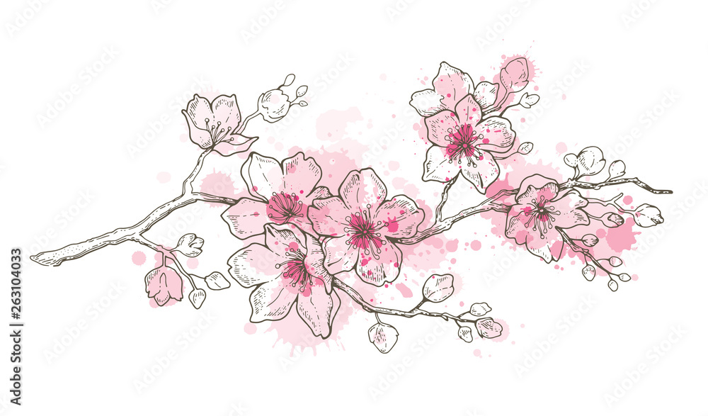 Spring sakura flowers blossom art, hand drawn watercolor style. Cute ...
