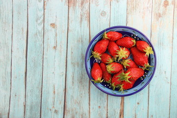 Canvas Print - Fraises