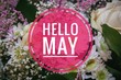 Banner Hello May. Greeting the new month. Picture with flowers. Text on a background of flowers. Hi spring.