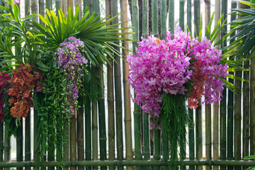 Poster - Vertical garden with orchids on the bamboo wall.