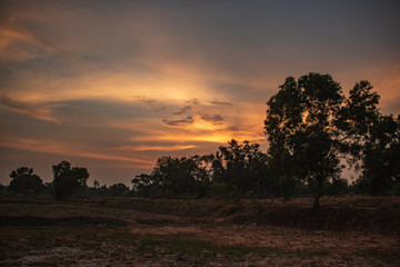 Wall Mural - Landscape Sunset sky