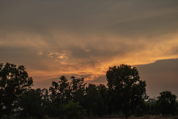 Wall Mural - Landscape Sunset sky