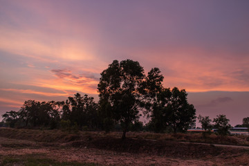 Wall Mural - Landscape Sunset sky