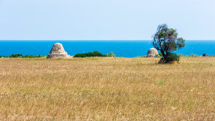 Along the coast of Bari. Contrasts between the fields and the sea.