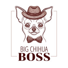 Chihuahua Boss Dog. T-shirt Print Design. Cool Animal Vector. Doodle Hand Drawn Style For Tee, Child, Male Fun Apparel. Puppy Character Poster Hipster Element. Fashion Illustration Isolated On White