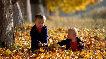 Portrait of two brothers sit on autumn foliage, child play with leaf, eat grape, enjoy nature, building strong relationship