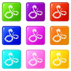 Wall Mural - Boa snake icons set 9 color collection isolated on white for any design