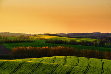 Wall Mural - A beautiful spring landscape of the hills