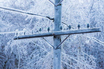 Wall Mural - freezing rain on electric pole and wire, Montreal, 9 April, 2019