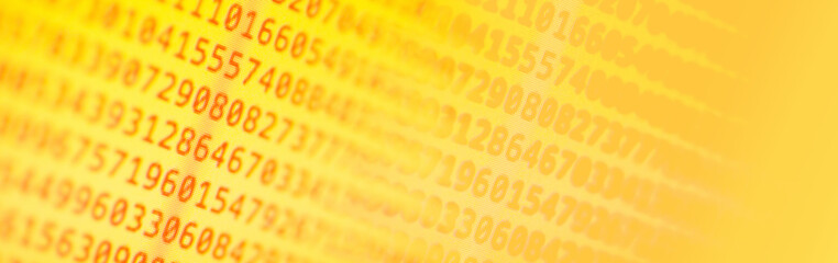 Wall Mural - program computer code.