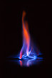 © Volha Kliukina - Flame of burning alcohol on black background. Gas flame. Black background. Abstract blaze fire flame texture background.