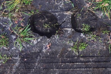 Close up of an griculture ground surface with high details