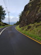 The single lane of the Otter Crest Loop road on the Central Oregon coast.