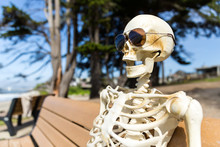 Skeleton Sits On A Bench At The Beach Watching The Waves