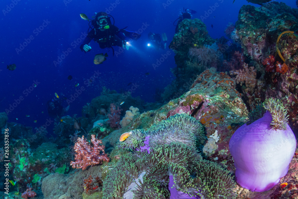 SCUBA divers over a colorful tropical coral reef in Thailand - obrazy, fototapety, plakaty 