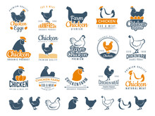 Chicken Badges. Fresh Farm Food Logotype Cooking Egg And Bird Broilers Vector Labels. Chicken Egg And Meat Logotype, Farm Badge Label Illustration