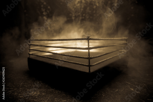 Ταπετσαρία τοιχογραφία Empty boxing ring with red ropes for match in the stadium arena