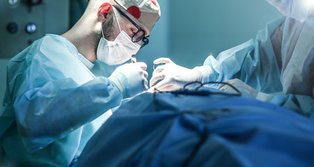 Wall Mural - Young male plastic surgeon operates in the operating room of a medical center.