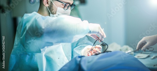 Fotomural Young male plastic surgeon operates in the operating room of a medical center