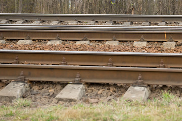 Empty railroad tracks, sleepers on the background of trees