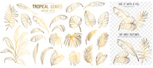 Set Of Tropical Leaves. Hand Drawn Sketches Traced In Vector