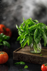 Fresh basil on a stone and dark background. Green basil. Food background. Basil plant for healthy cooking