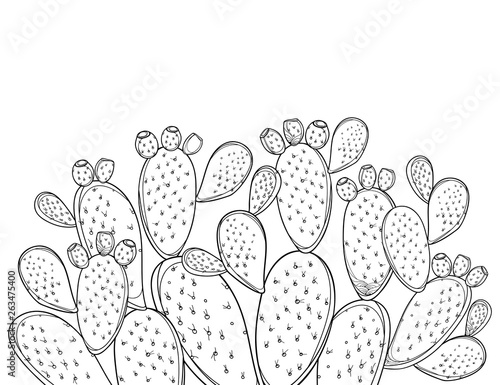 Bush Of Outline Indian Fig Opuntia Or Prickly Pear Cactus Fruits And Spiny Stem In Black Isolated On White Background Stock Vector Adobe Stock Bush Of Outline Indian Fig Opuntia Or Prickly Pear Cactus Fruits And Spiny Stem In Black Isolated On White Background Stock Vector Adobe Stock