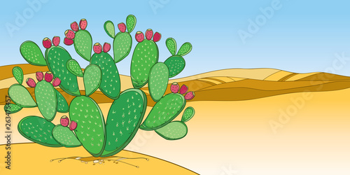 Bush Of Outline Indian Fig Opuntia Plant Or Prickly Pear Cactus Red Fruit And Green Spiny Stem On The Background With Desert Landscape Stock Vector Adobe Stock Bush Of Outline Indian Fig Opuntia Plant Or Prickly Pear Cactus Red Fruit And Green Spiny Stem On The Background With Desert Landscape Stock Vector Adobe Stock