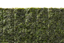 Sheet Of Dried Green Nori