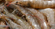 Uncooked Fresh shrimp