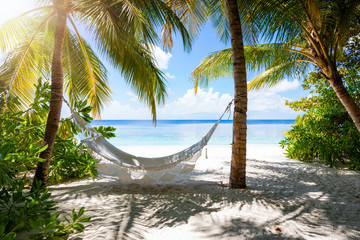 Wall Mural - Empty hammock on a tropical beach landscape with palm trees and turquoise sea