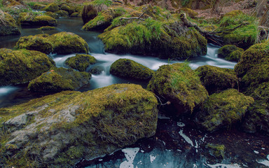 The small brook flowing between mossy stones. Germany Saxony.