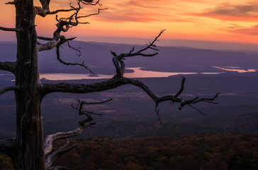 Wall Mural - A vits view atop Mount Magazine at Mountain Magazine Sate park in Arkansas. The sunrise marks the coming of fall. The purple and yellow pastel colors of autumn compete the natural wilderness scene