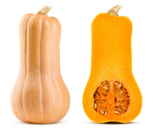 Pumpkin Butternut Squash Isolated On White Background, Full Depth Of Field