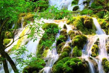 Canvas Print - Mountain stream among the mossy stones