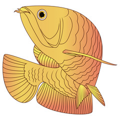 Wall Mural - illustration of arowana