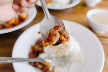 Wall Mural - Delicious Fried Pork with Thai rice