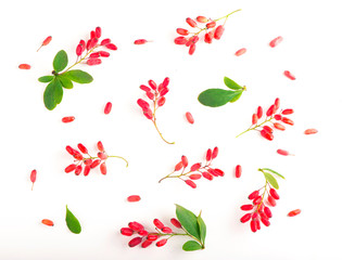 Barberries with leaves on the white backgrounds