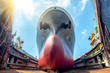 bulk head of the commercial ship in floating dry dock for painting , repairing, recondition, sand blasting of overhaul, ship sitting on supporter bottom layer of dry dock terminal