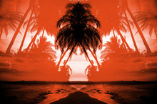 Silhouettes Of Palm Trees