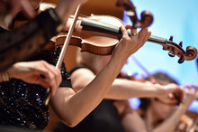 Violin Players Hand Detail During Philharmonic Orchestra Performance