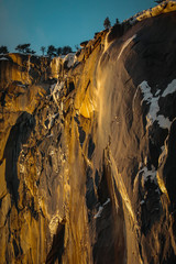 Canvas Print - Yosemite 