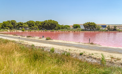 Poster - Saline in the Camargue