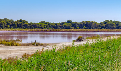 Poster - Saline in the Camargue